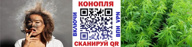 Бошки Шишки MAZAR МЕГА ссылки Медногорск закладка